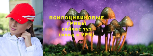 мяу мяу мука Новокубанск