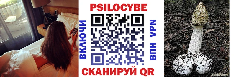 купить наркоту  это клад  Псилоцибиновые грибы Psilocybine cubensis  Первомайск 
